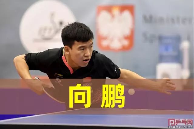 引人注目的 引人注目的